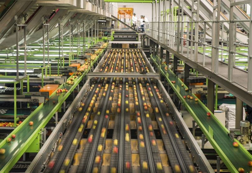¿Por qué un Chief Automation Officer?